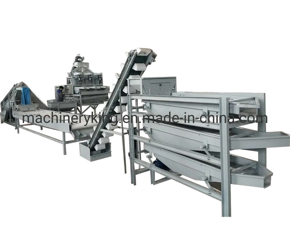 Dry Nuts Grading Machine Date Palm Sorting Machine