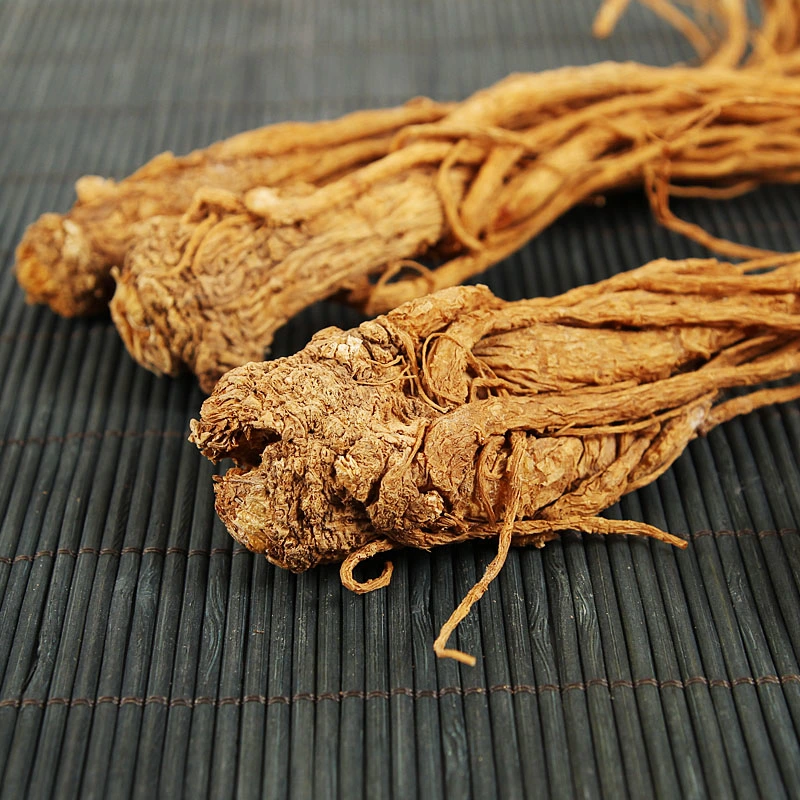 Danggui Angelica Chinese Supplier Gansu Local Traditional Tonic Chinese Herb Natural