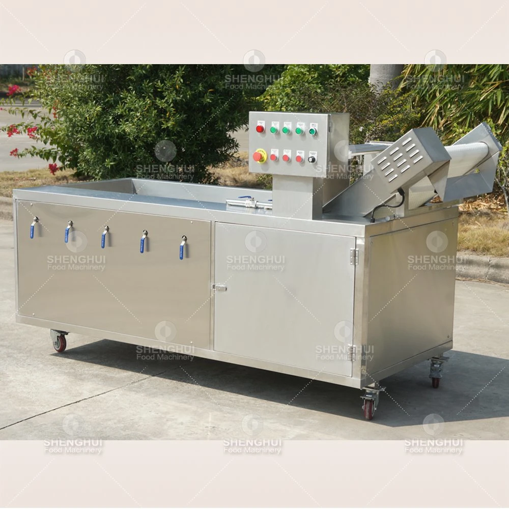 Commercial Orange Washing Machine Apple Washer Equipment Salad Cabbage Cleaning Machine Ozone Cleaner