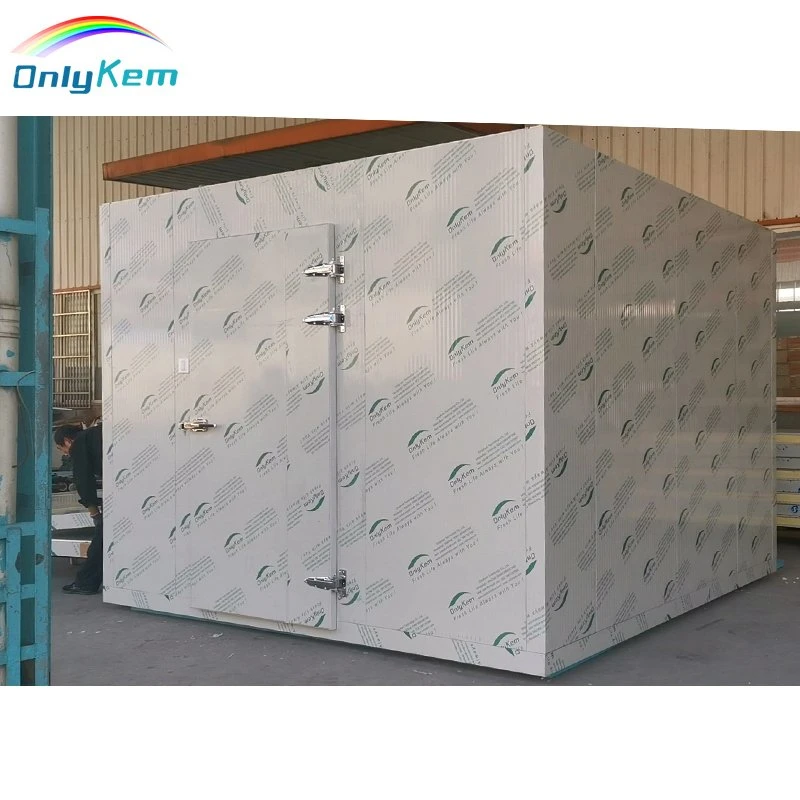 Refrigeration Cold Room Freezer Cold Storage Walk in Cooler for Frozen Meat