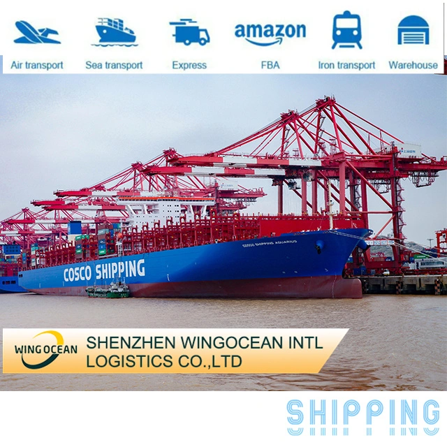 Door to Door Sea Freight Service Shenzhen China Shipping Forwarder to EU USA UK Germany Australia