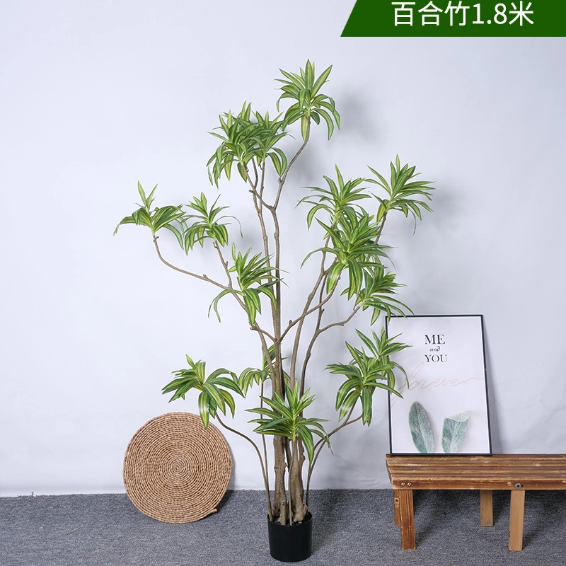 Wholesale Potted Hotel Home Garden Decorative Plants Lily Bamboo