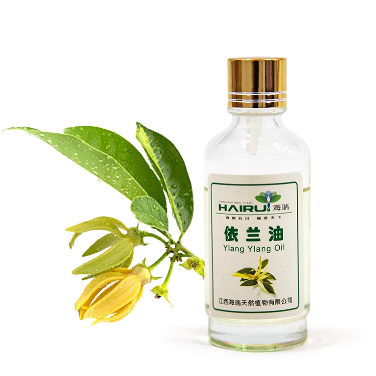 Bio ätherisches Öl Beauty Produkt für Massage Ylang Ylang Öl