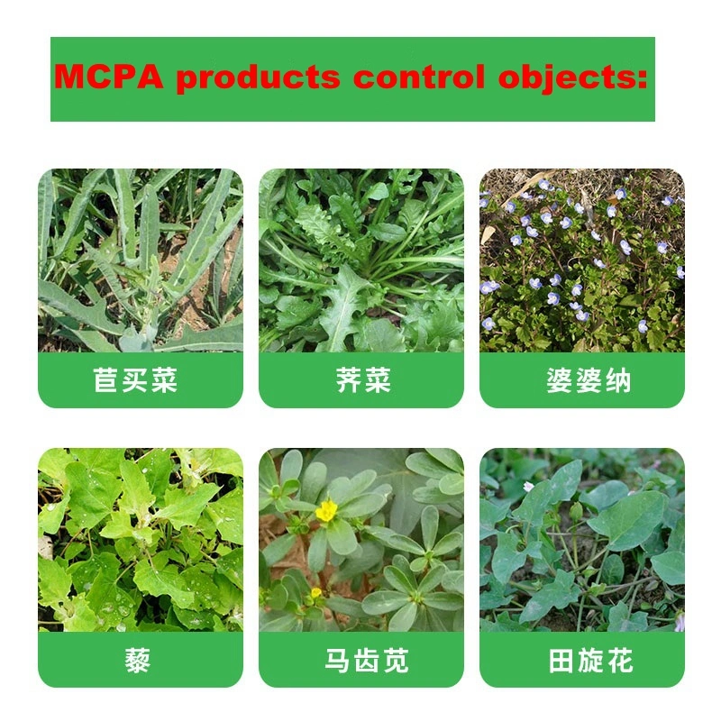 China factory price supply Herbicide Bentazone 100g/L + Mcpa 120g/L SL