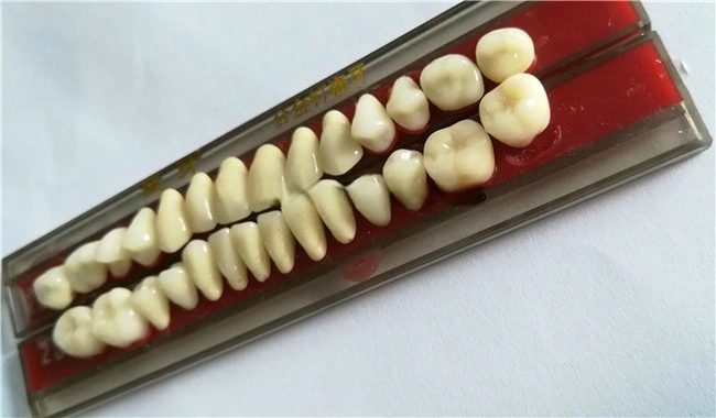 Dental Supply Porcelain Teeth Denture Teeth Acrylic Resin Tooth