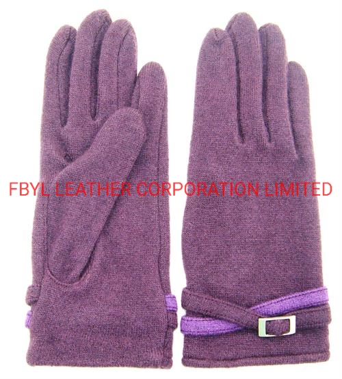 Lady Fashion Wool Touch Mobile Gloves (JYG-25067)