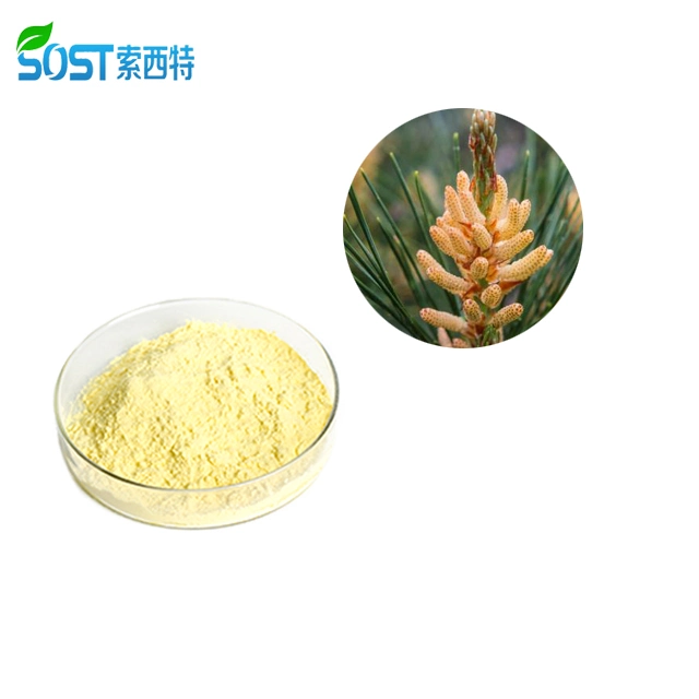 High quality/High cost performance  98% Cell-Broken EU Organic Pine Pollen Extract Powder