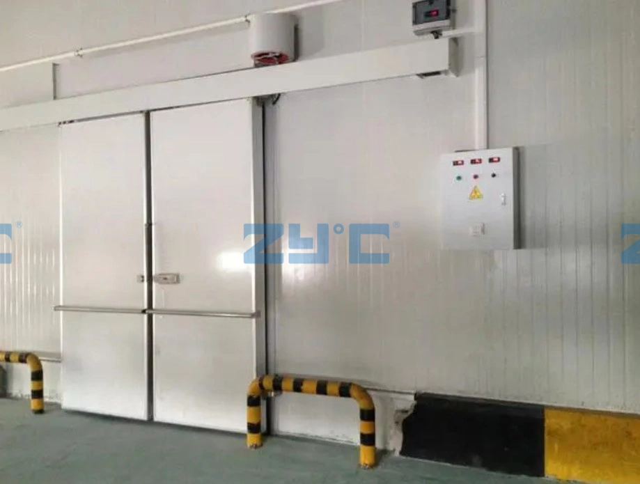 Cold Storage for Frozen Meat, Freezer Room, Chiller Cold Room