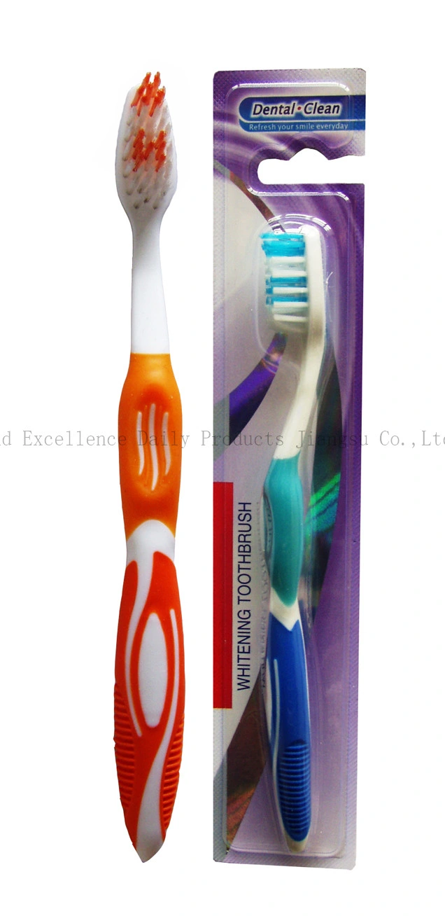 High quality/High cost performance  Free Plastic Jar with Strong Handle Adult Toothbrush