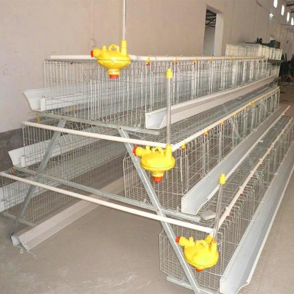 Popular Astyle Chicken Cage Modern Prefab Commercial Egg Layer Poultry Farm Building House Design for Sale