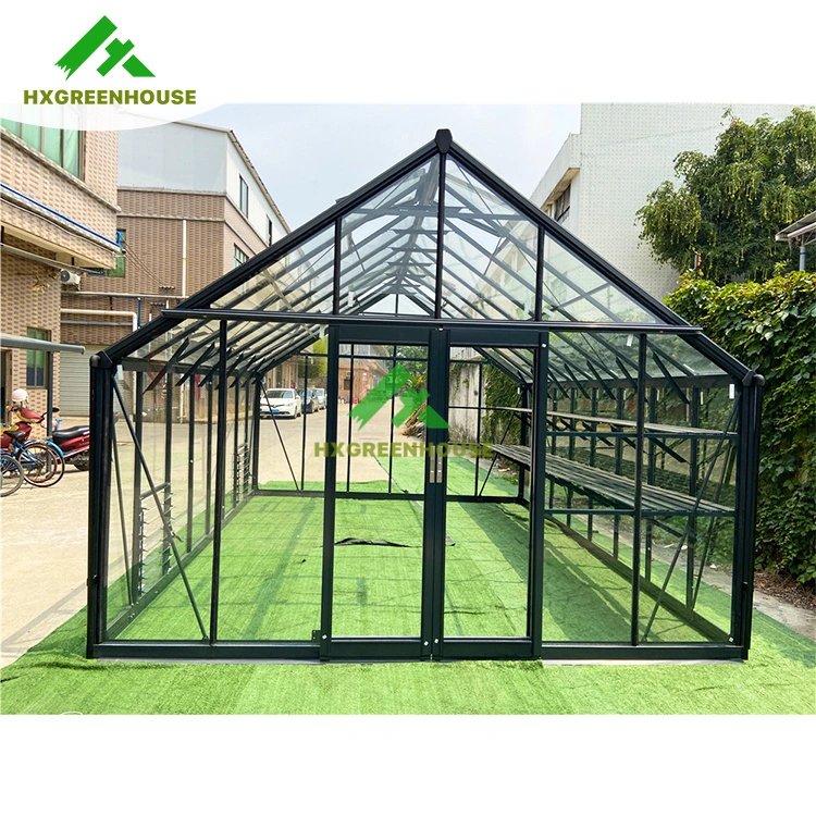 Tomato Film Greenhouse Prefabricated Single-Span Greenhouses