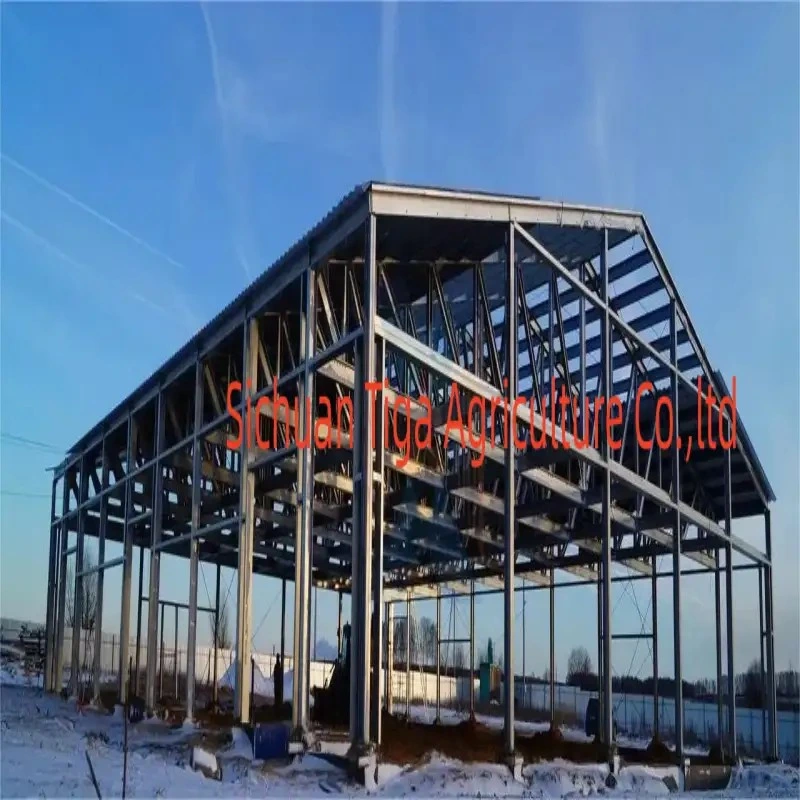 Fertigwerkstatt Verzinkte Industrie Prefab Design Kaltlager Plant Building Shed Landwirtschaft Sunrooml Struktur Lager