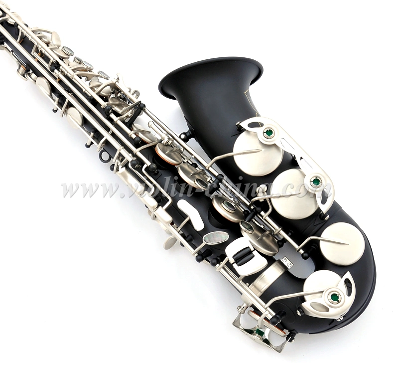 Eb Key Black Lacquer Finish Professional Alto Saxophone (AAS5506K)