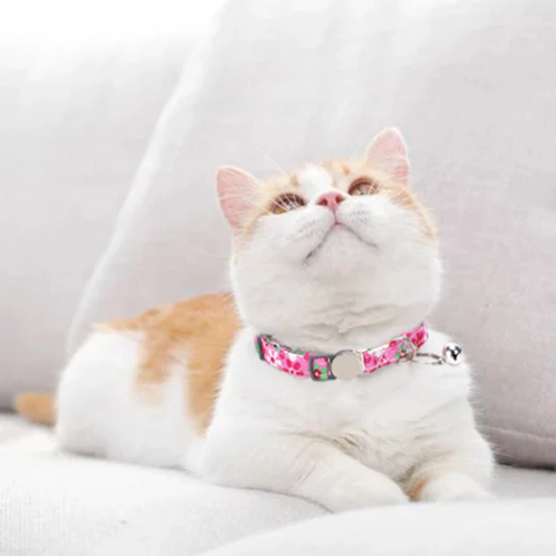 Pet Supplies 2023 New Style Pet Collar Cuteengrable Pet Name Cat Collar