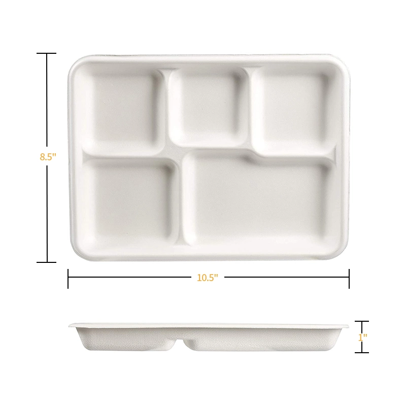 Hot Sale Restaurant Fast Food Biodegradable 5 Compartments Plate Dish Sugarcane Fiber Rectangle Sugarcane Lunch Tray