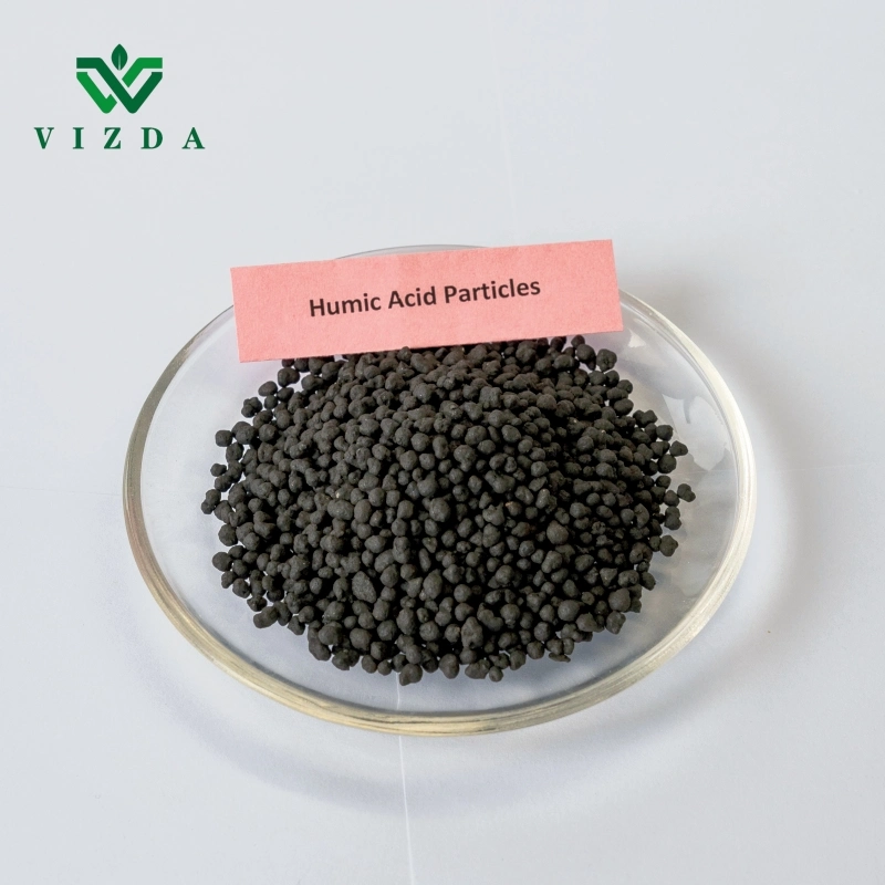 Organic Fertilizer Humic Acid Ball Base for Plant Use