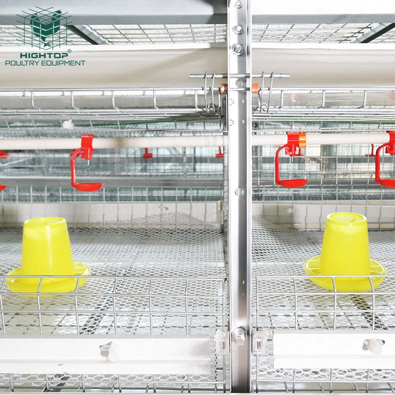 Automatic Broiler Poultry Farm Feeding System H Type Battery Broiler Chicken Cage for Nigeria
