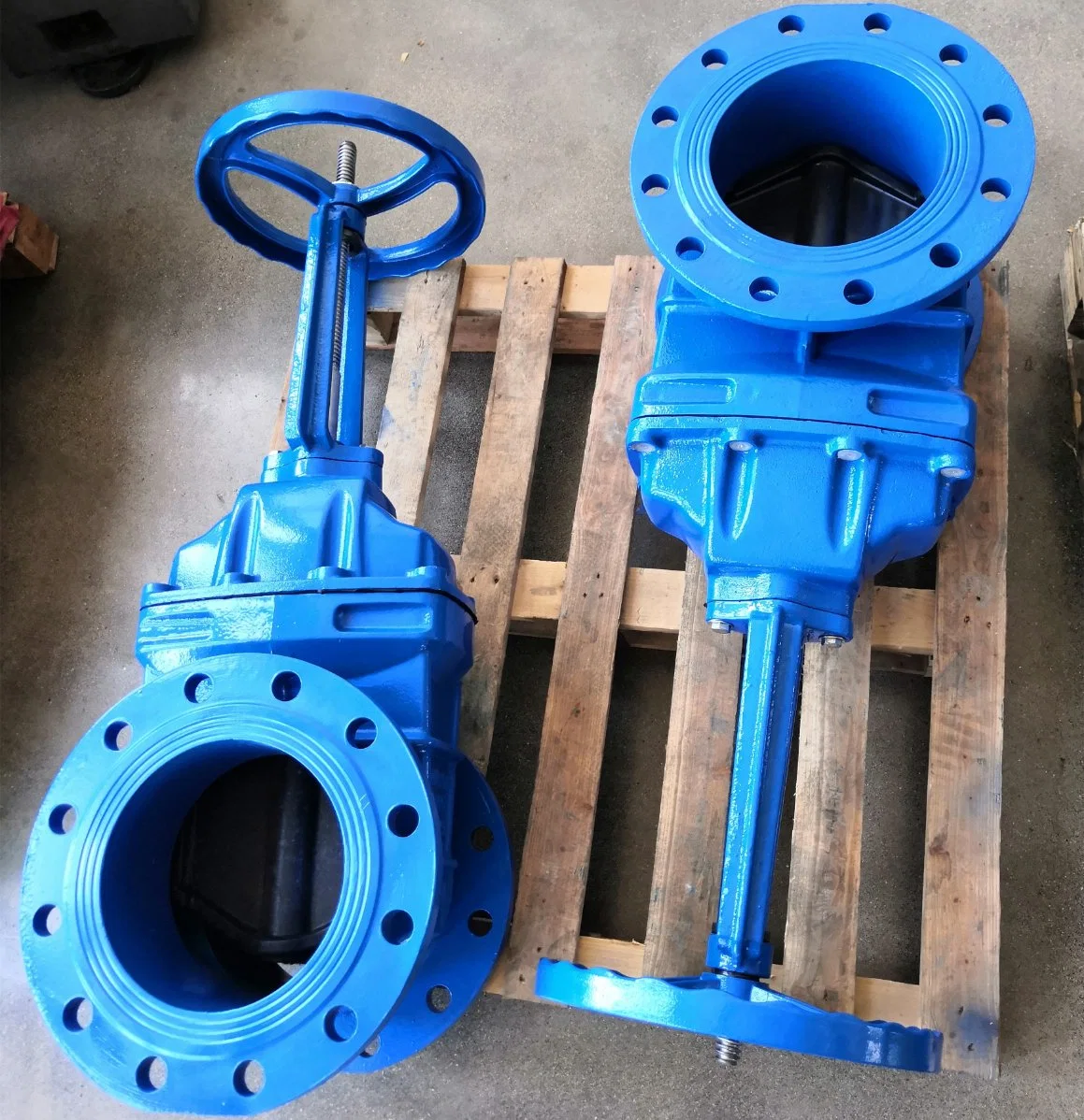 Ductile Iron Flanged Rising Stem Outside Screw Yoke Water Gate Valve Manual Operated Pn16 DN100