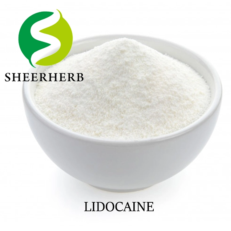 Cheap Lidocaine Powder Wholesale/Supplier Bulk Lidocaine Powder CAS 137-58-6 Lidocaine