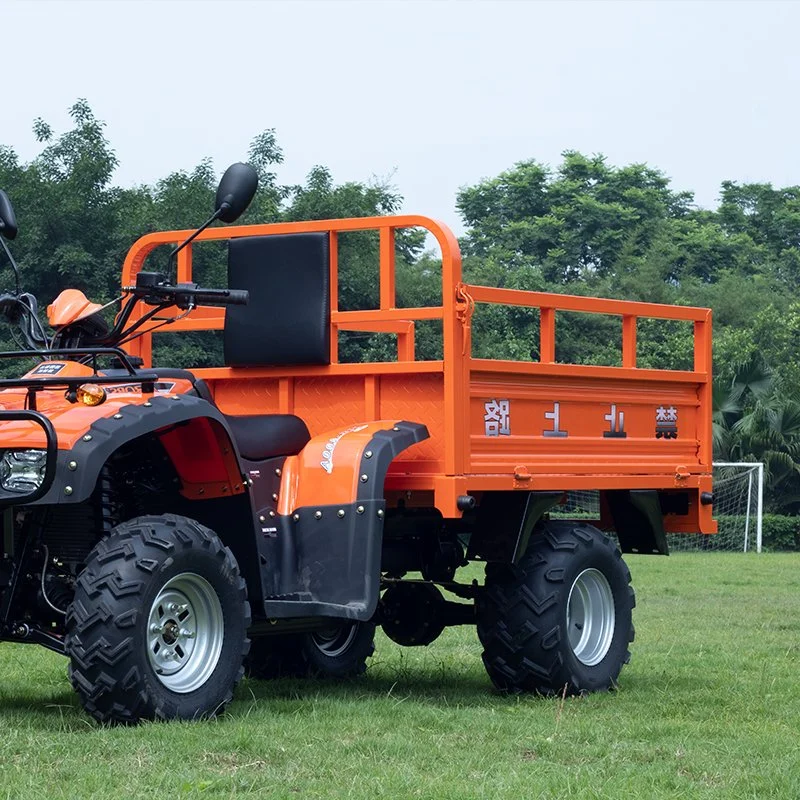 Gaswellen-Antrieb Aerobs Chongqing, China 12 Volt ATV AVT Bike