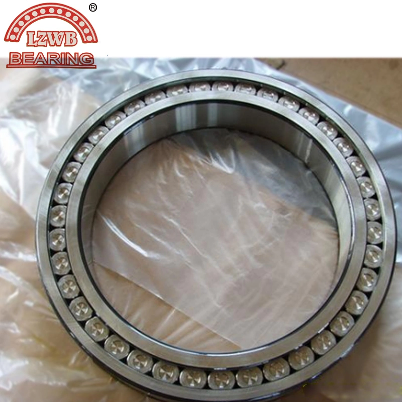 Single Row Cylindrical Roller Bearing (NJ2316EM)