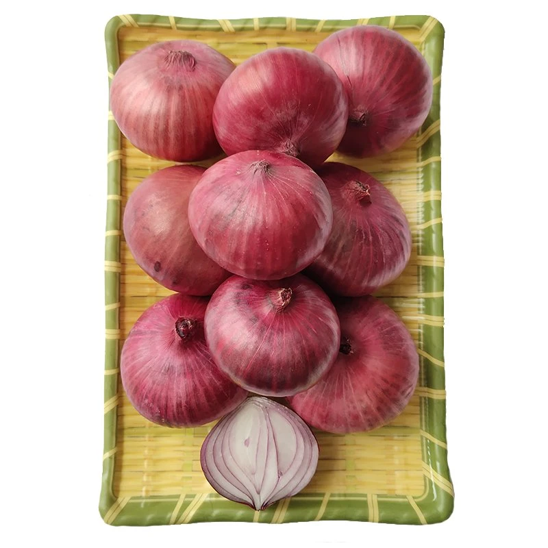 Melhor qualidade Atacado preço barato fresco Red Onion fornecedores em Nion vermelho