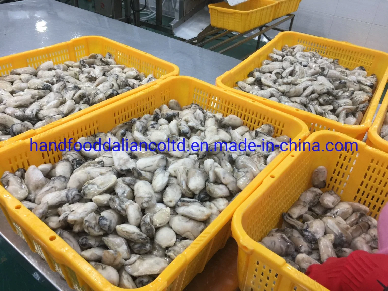 Super Quality Seafood of Frozen Raw Oyster Meats