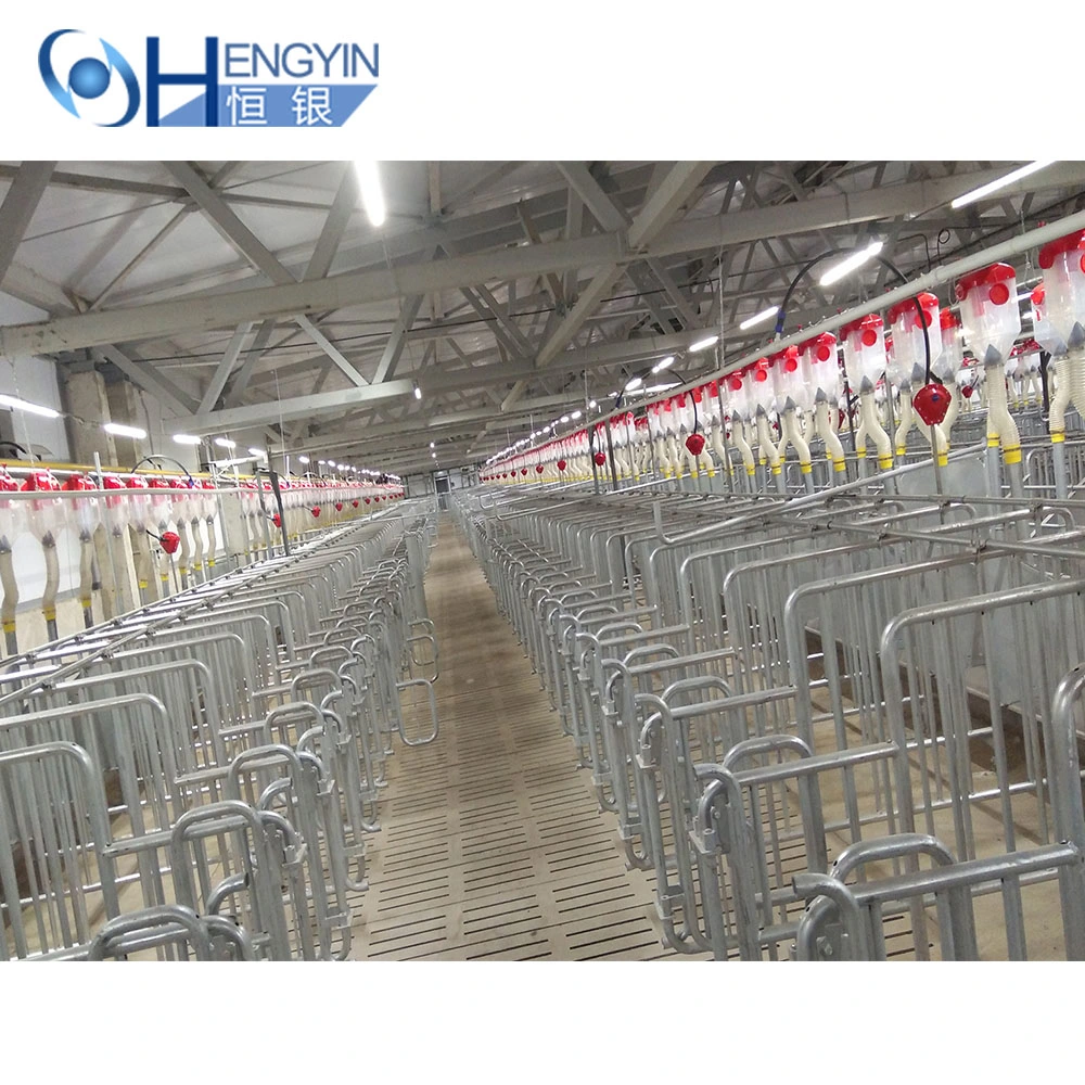 Pig Farming Equipment Gestation Crates/Cage/Stall