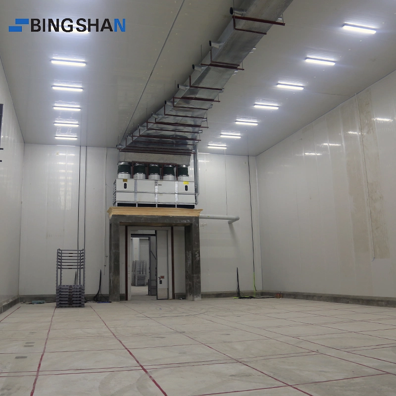 Cold Storage Room Design Mutton Cold Storage Large Cold Room for Meat