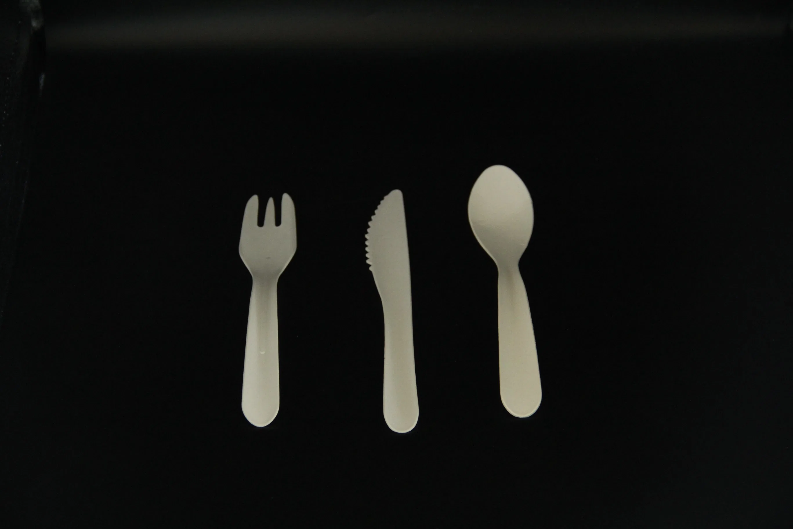 أدوات المائدة المصنوعة من ورق الخيزران التي يمكن التخلص منها مجموعة الشوكة القابلة للتحلل البيولوجي والملعقة سكين تعيين