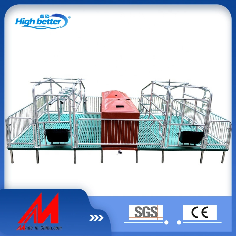 Animal cochon Double Cage Farrowing Cages de Porc Porc de la caisse de l'équipement agricole