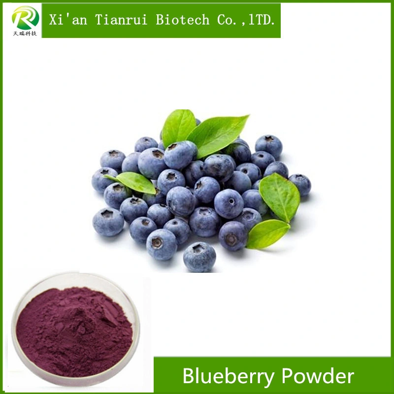 100% Water Soluble Organic Blueberry Extract Powder