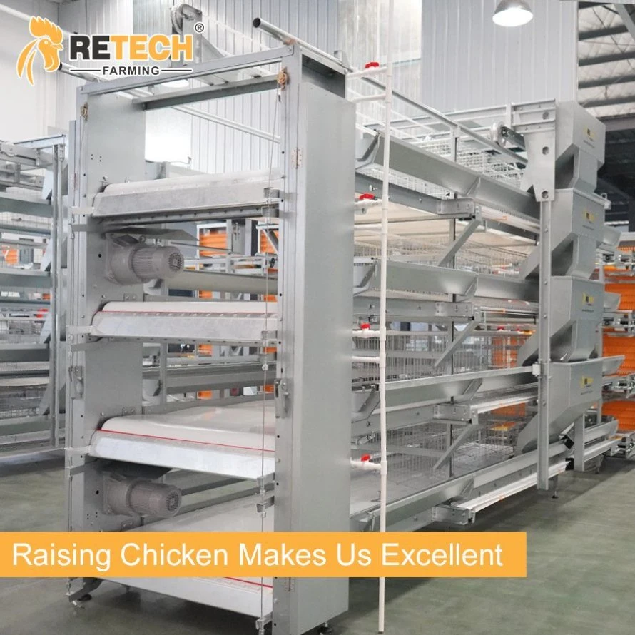 Automatic H type Chicken Cage Laying Hens Battery Raising Poultry Equipment in Vietnam