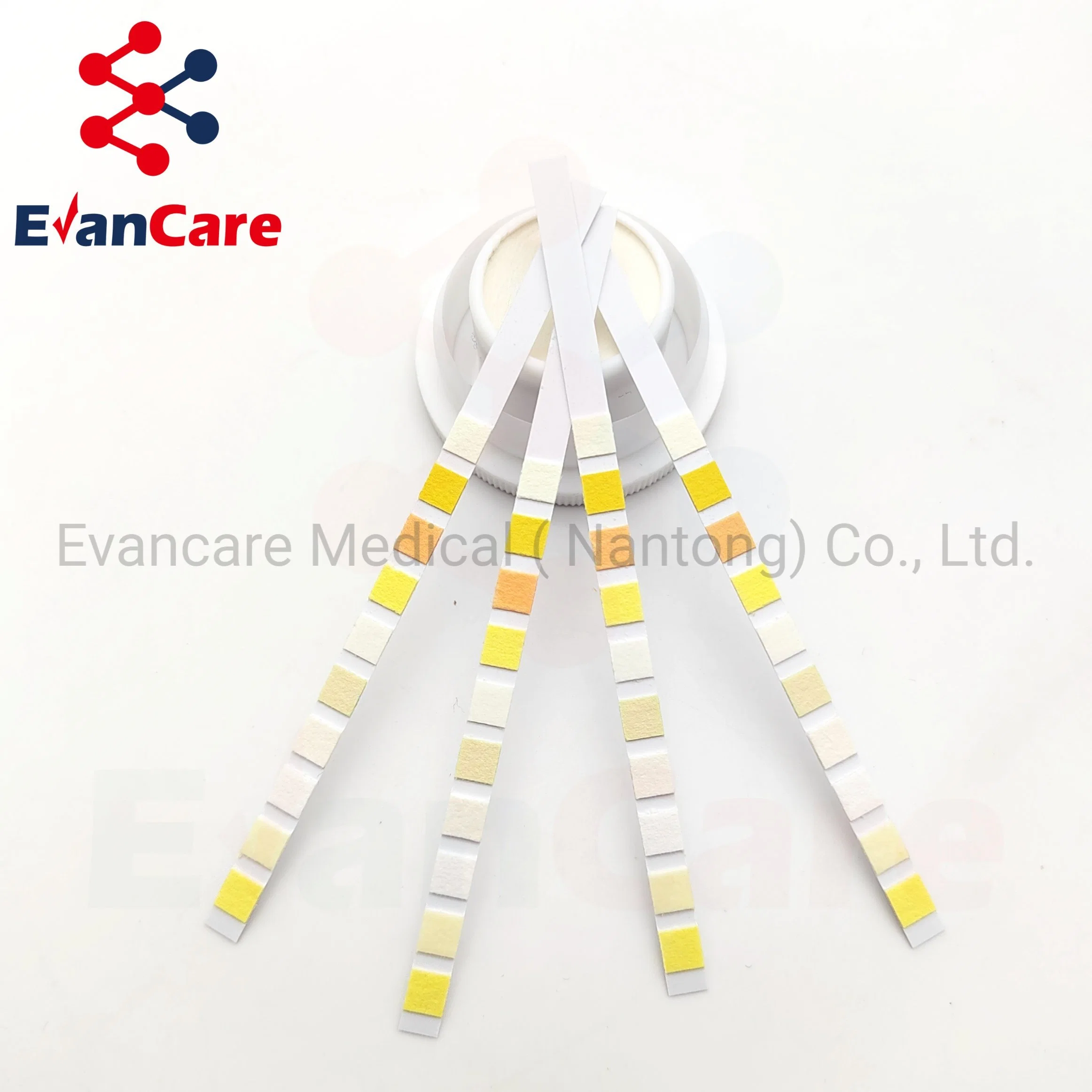 Evancare Urine Analysis Strips&Test Strips Urine Medical Lab Equipments