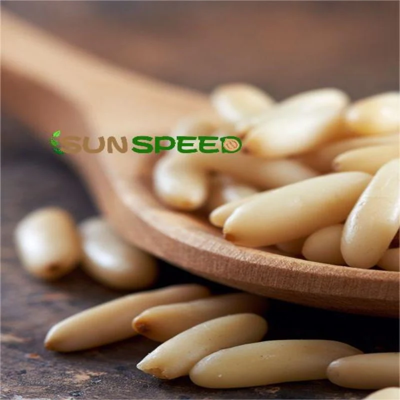 Оптовые продажи Новые культуры Top Quality Pine Nuts Здоровые Пища сушеная Кедр Пиненут