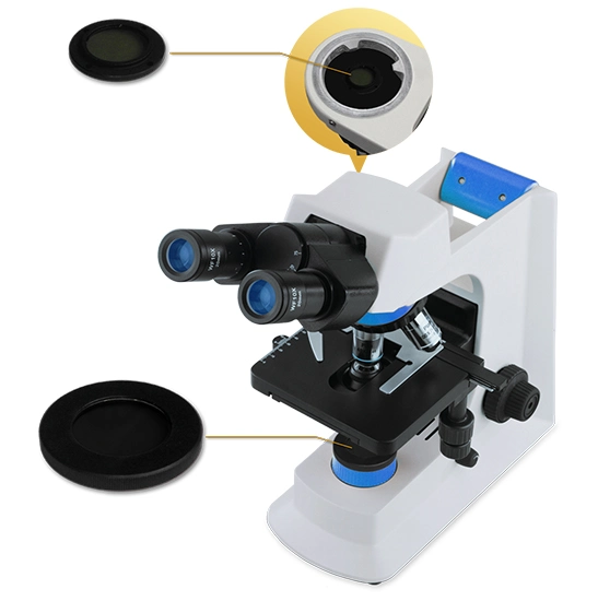 BestScope BS-2036D Teaching Desktop Medical Binocular Biological Microscope for laboratory study