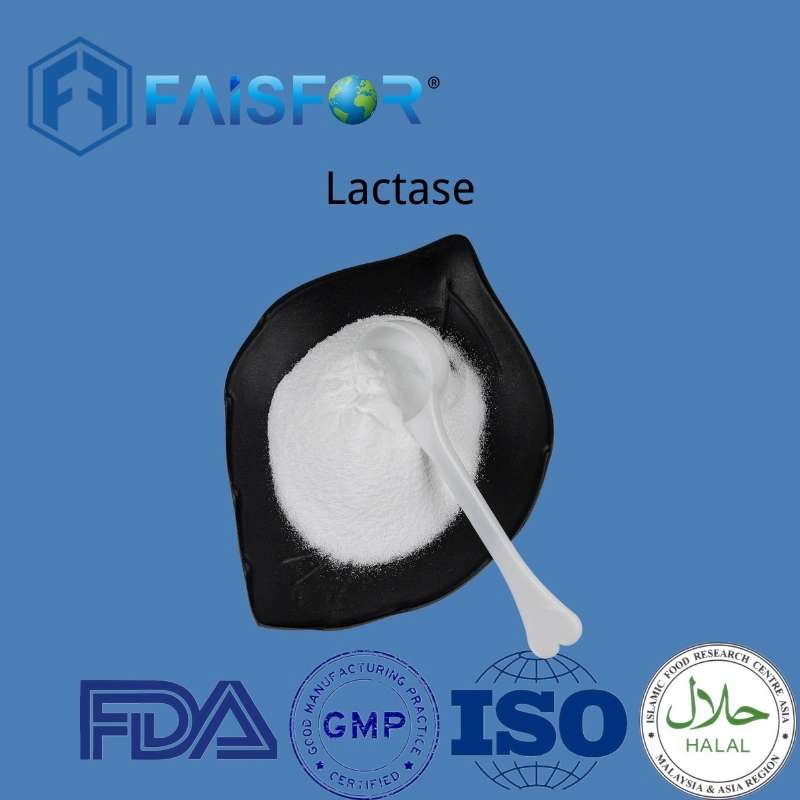 Chemisches Lactase-Enzympulver