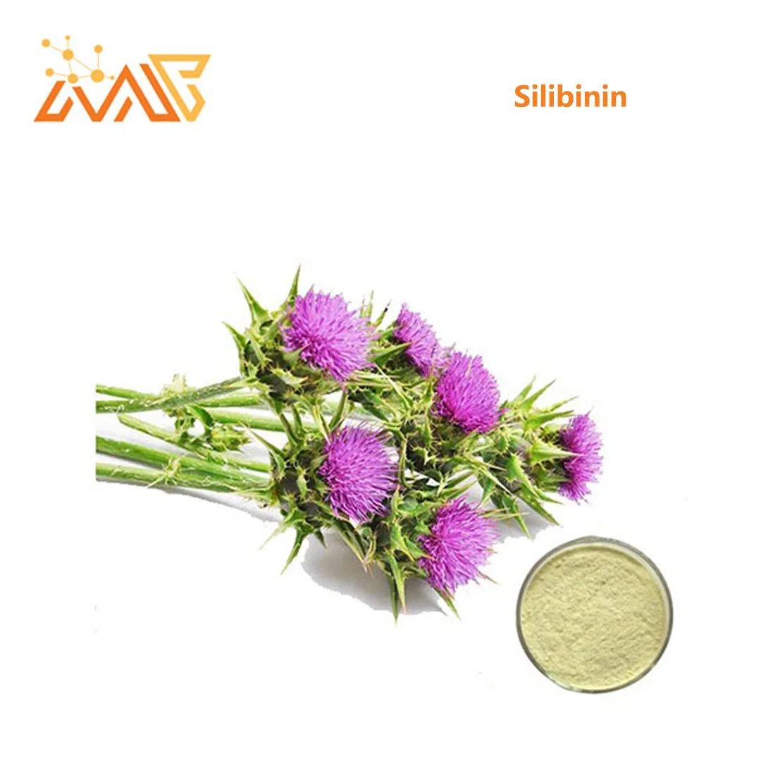 Supply Milk Thistle Extract Silibinin 98% 22888-70-6