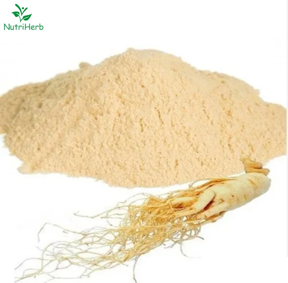 Chinese Herbal Extract Total Ginsenosides 5% HPLC Panax Ginseng Root Extract