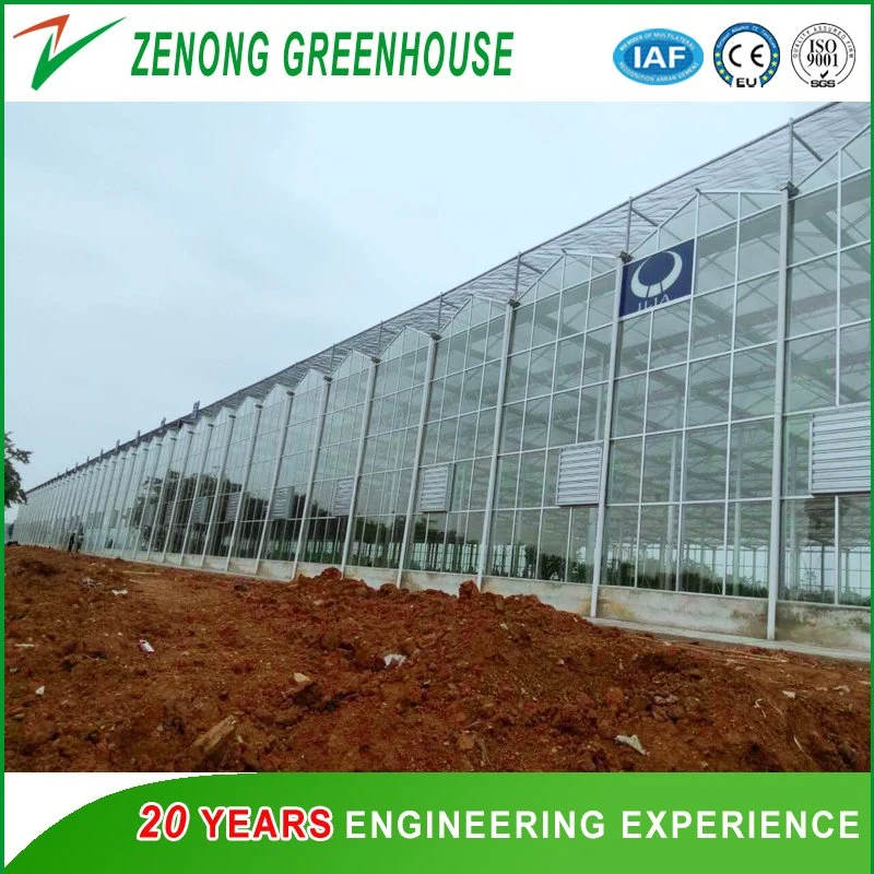 Intelligent Glass Green House with Hot DIP Galvanized Steel Frame for Hydroponics Cultivation