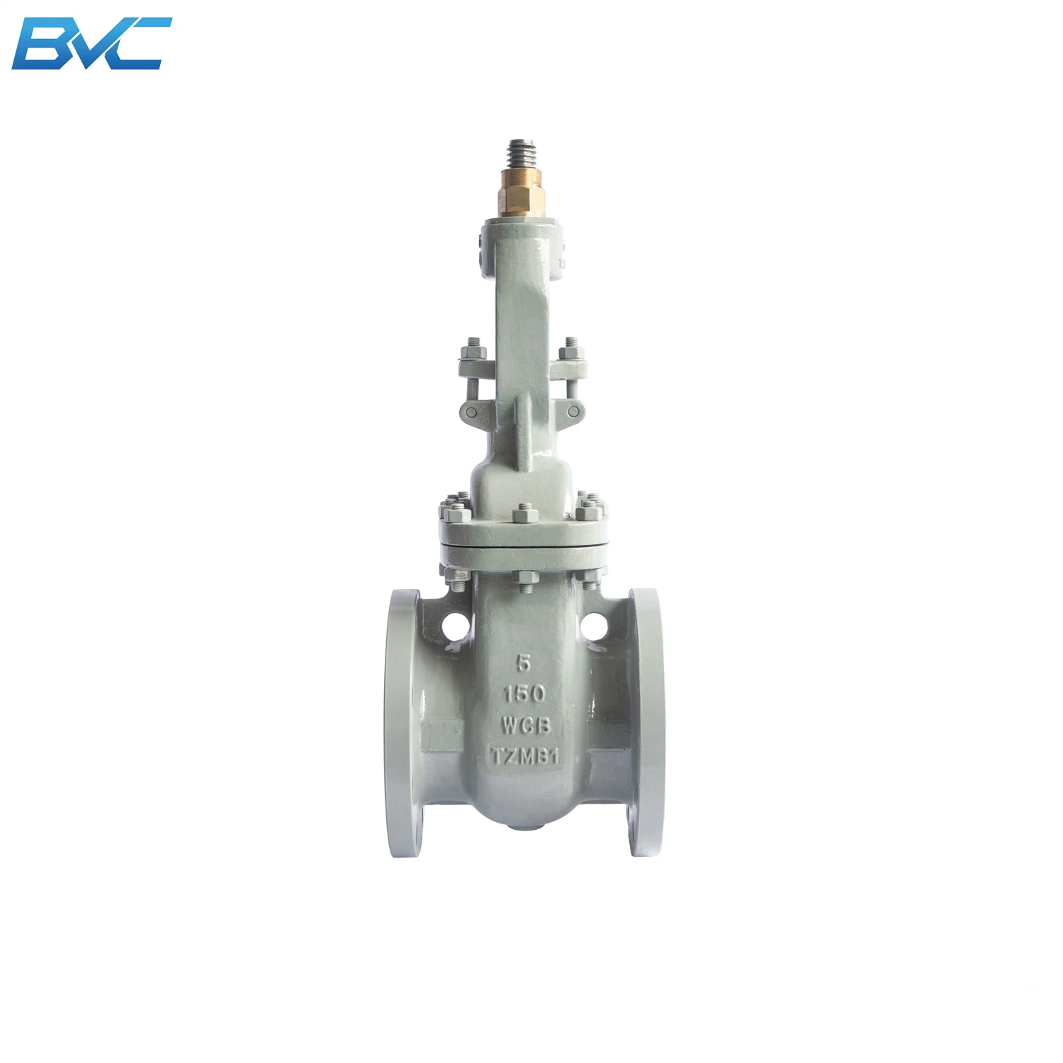 API Wcb SS304 316 Stainless Steel Gate Valve, Flange Type Handwheel, Stainless Steel Cast Valve