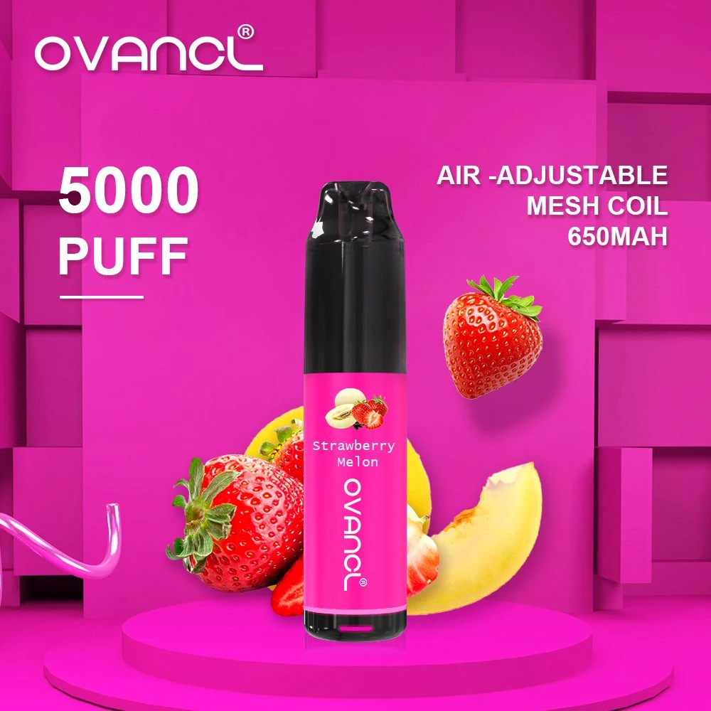 Design original Ovancl E Cigarette 5000 inhalations Vape vaporisateur rechargeables jetables pneumatique réglable E Ciga Vape libre le Starter Kit de plumes