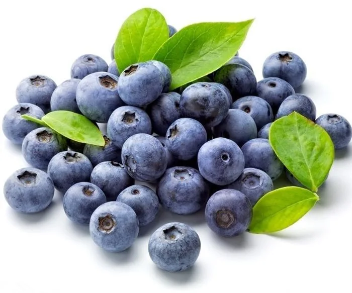 Antioxidant Plant Extract of Bilberry Extract 25% Anthocyanins Powder