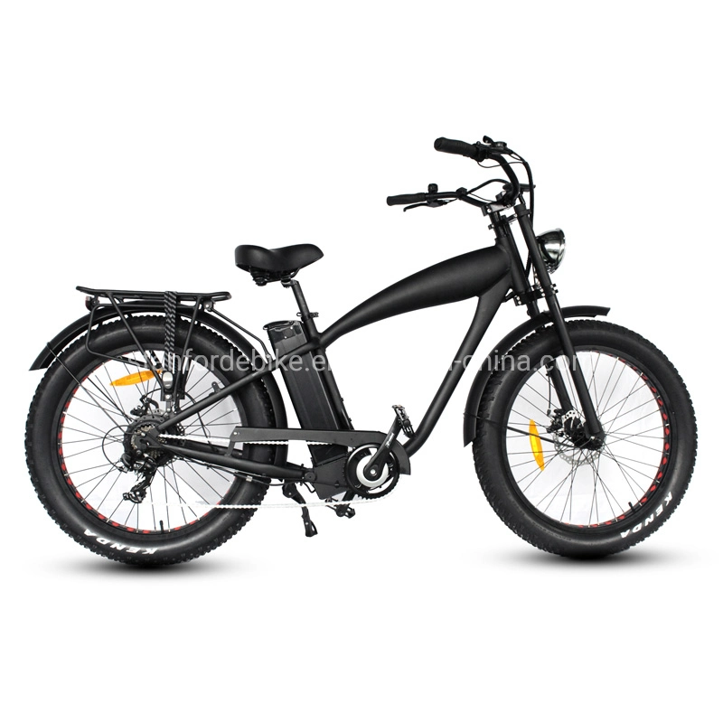 7 Speed Elektro-Fahrrad 48V 500W eBike Lithium-Batterie von China