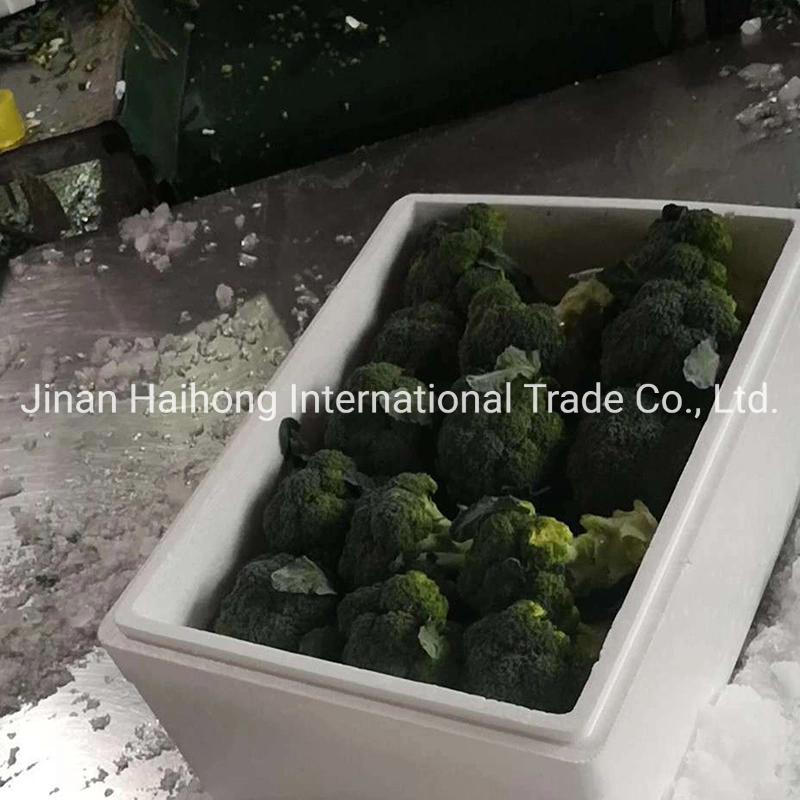 New Crop High quality/High cost performance Broccoli