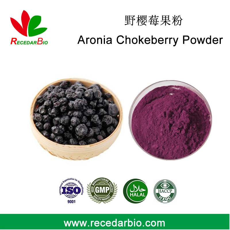 Aronia Chokeberry naturelles de la poudre de jus de fruits en poudre