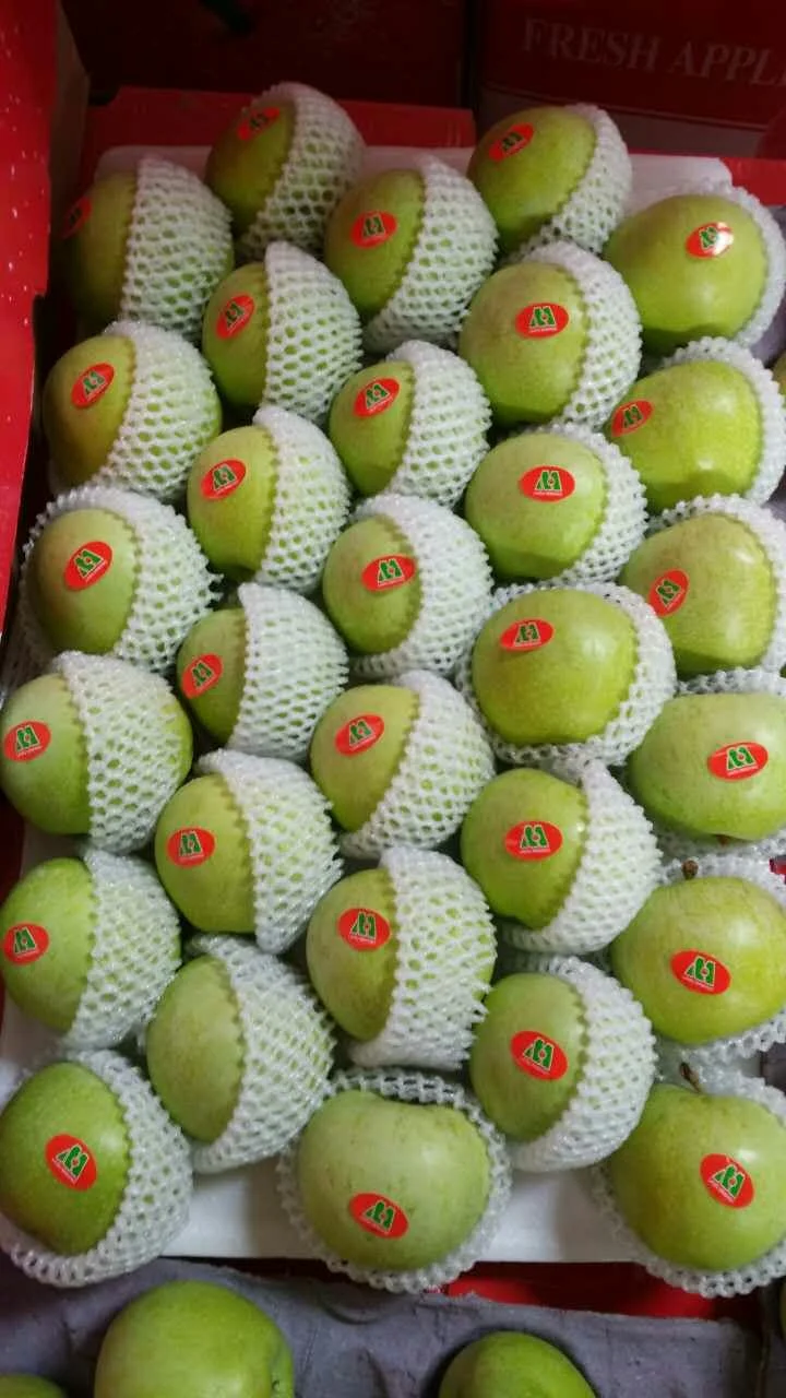 New Season Green Qinguan Fresh Apples