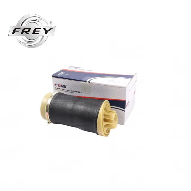 Frey Auto Parts Shock Absorber Air Suspension 2513200425 for Mercedes Benz W251