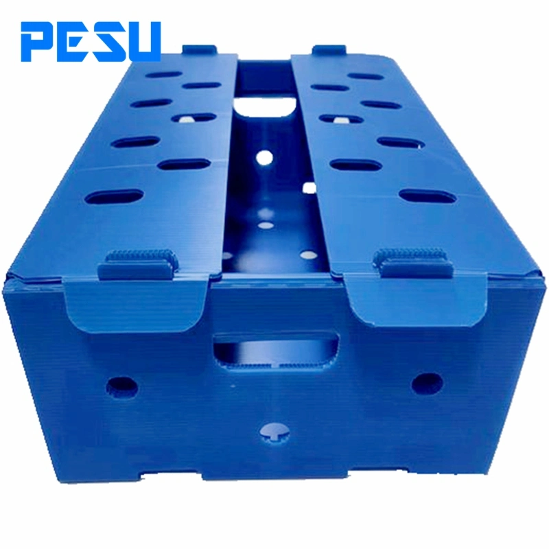 Coroplast Plastic Tray Coroplast Box PP Corrugated Box