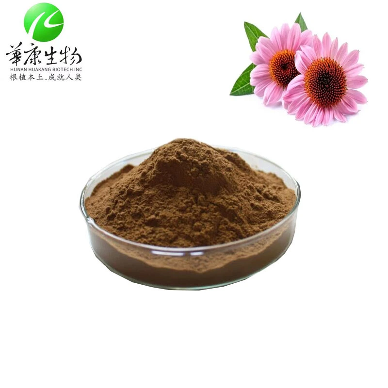 Best Price Echinacea Extract Powder Echinacea Purpurea Root Extract Cichoric Acid 2%~4%; Polyphenols 4%